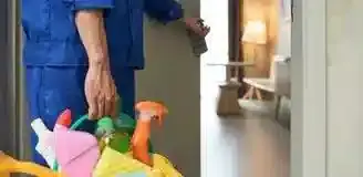 نظافت دوره ای منزل