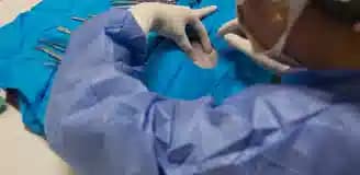 عقیم سازی حیوانات شیراز